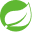 java spring